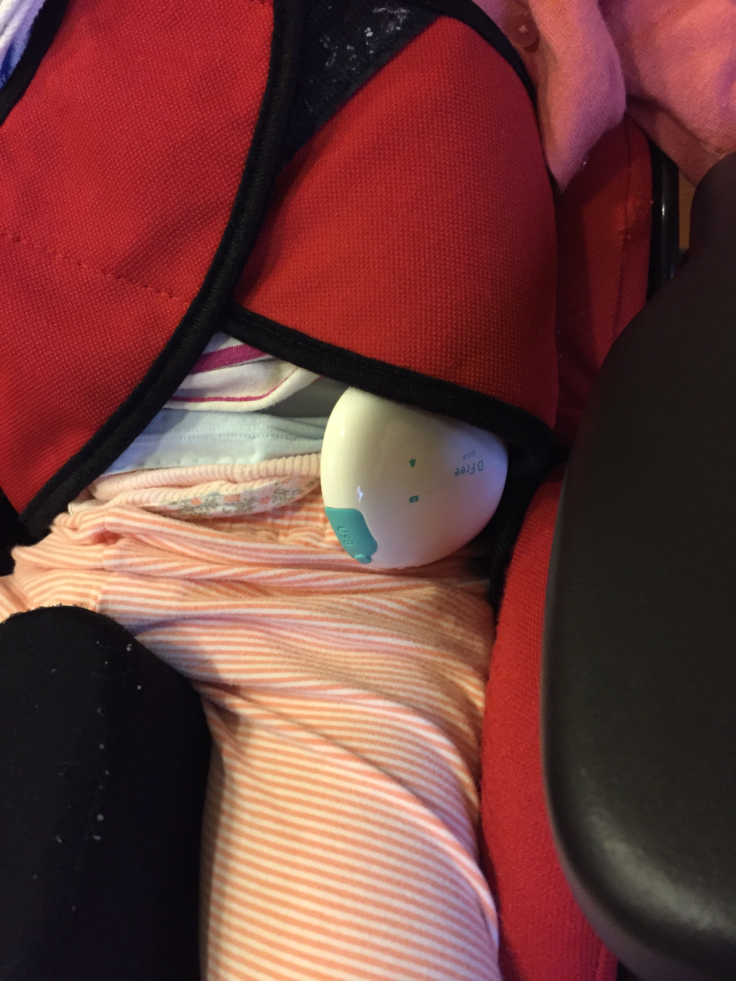 こころちゃんとDFree